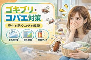 ゴキブリ・コバエ対策｜発生源・侵入経路の確認と殺虫剤を使うときの注意点